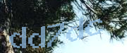 Sorry, this is a captcha