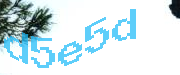 Sorry, this is a captcha