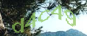 Sorry, this is a captcha