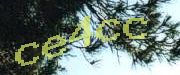 Sorry, this is a captcha