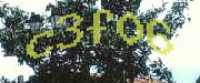 Sorry, this is a captcha