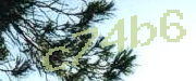 Sorry, this is a captcha