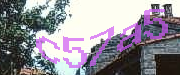 Sorry, this is a captcha