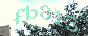 Sorry, this is a captcha