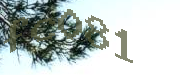 Sorry, this is a captcha
