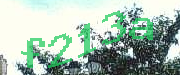 Sorry, this is a captcha