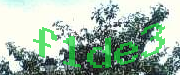 Sorry, this is a captcha