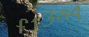 Sorry, this is a captcha
