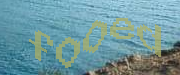 Sorry, this is a captcha