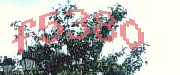 Sorry, this is a captcha