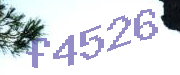 Sorry, this is a captcha