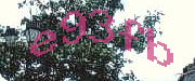Sorry, this is a captcha