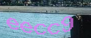 Sorry, this is a captcha