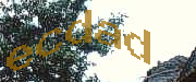 Sorry, this is a captcha