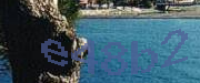 Sorry, this is a captcha