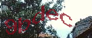 Sorry, this is a captcha