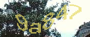 Sorry, this is a captcha