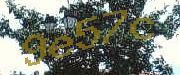 Sorry, this is a captcha