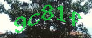Sorry, this is a captcha