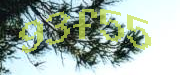 Sorry, this is a captcha