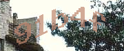 Sorry, this is a captcha