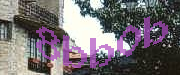Sorry, this is a captcha