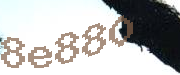Sorry, this is a captcha