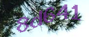 Sorry, this is a captcha