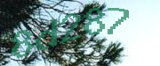 Sorry, this is a captcha