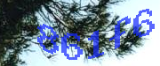 Sorry, this is a captcha