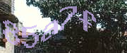 Sorry, this is a captcha