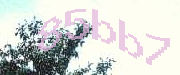 Sorry, this is a captcha