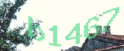 Sorry, this is a captcha