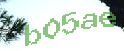 Sorry, this is a captcha