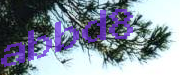Sorry, this is a captcha