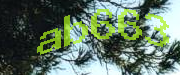 Sorry, this is a captcha