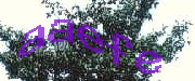 Sorry, this is a captcha