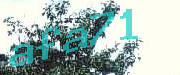 Sorry, this is a captcha