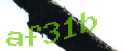 Sorry, this is a captcha