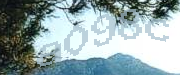 Sorry, this is a captcha