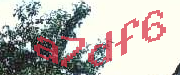 Sorry, this is a captcha