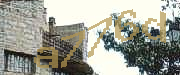 Sorry, this is a captcha