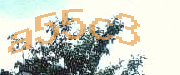Sorry, this is a captcha