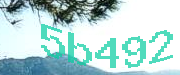 Sorry, this is a captcha