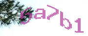 Sorry, this is a captcha