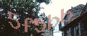 Sorry, this is a captcha