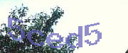 Sorry, this is a captcha