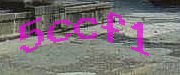 Sorry, this is a captcha