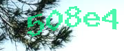 Sorry, this is a captcha