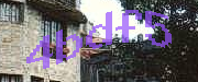 Sorry, this is a captcha